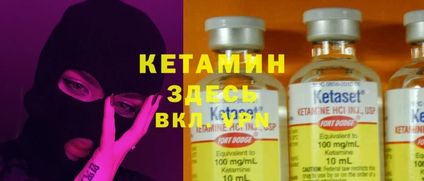 шишки Коряжма