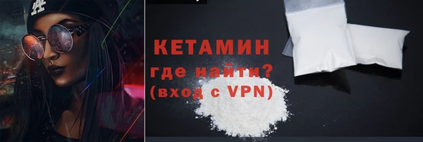 шишки Коряжма