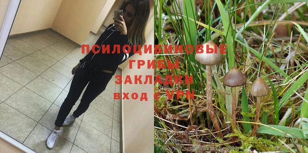 индика Киренск