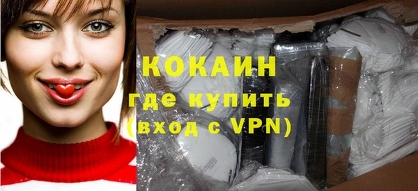 шишки Коряжма