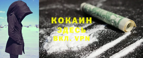 шишки Коряжма