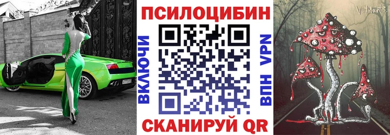 Псилоцибиновые грибы мухоморы  KRAKEN зеркало  Бердск 